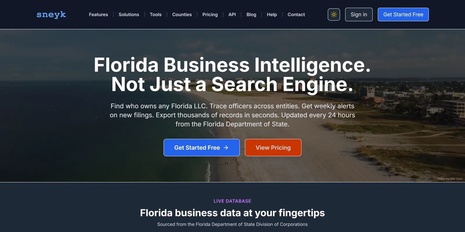 The sneyk homepage: Florida Business Intelligence, not just a search engine, with links to features, counties, pricing, and the API.